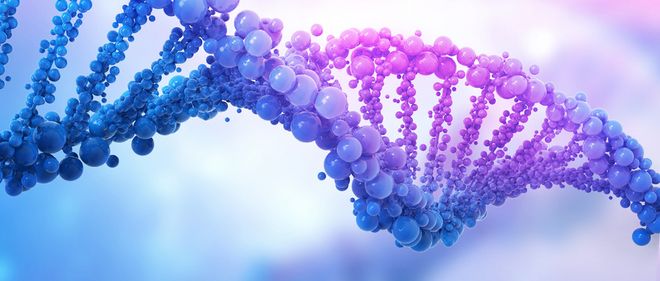 DNA存储拯救人类数据危机的良方？(图2)
