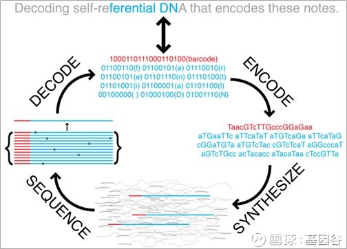 新劳动者说丨和DNA打交道的法医转型研究虚拟币帮人追回1000多万(图1)