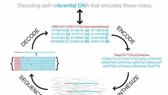从实验室微光到产业蓝海苏州工业园区打造生物制造“全链生态”(图1)
