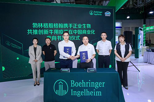 勃林格殷格翰将携手正业生物共推创新牛用疫苗在中国商业化(图1)