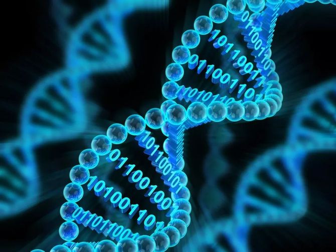 DNA存储的中美对比研究(图5)