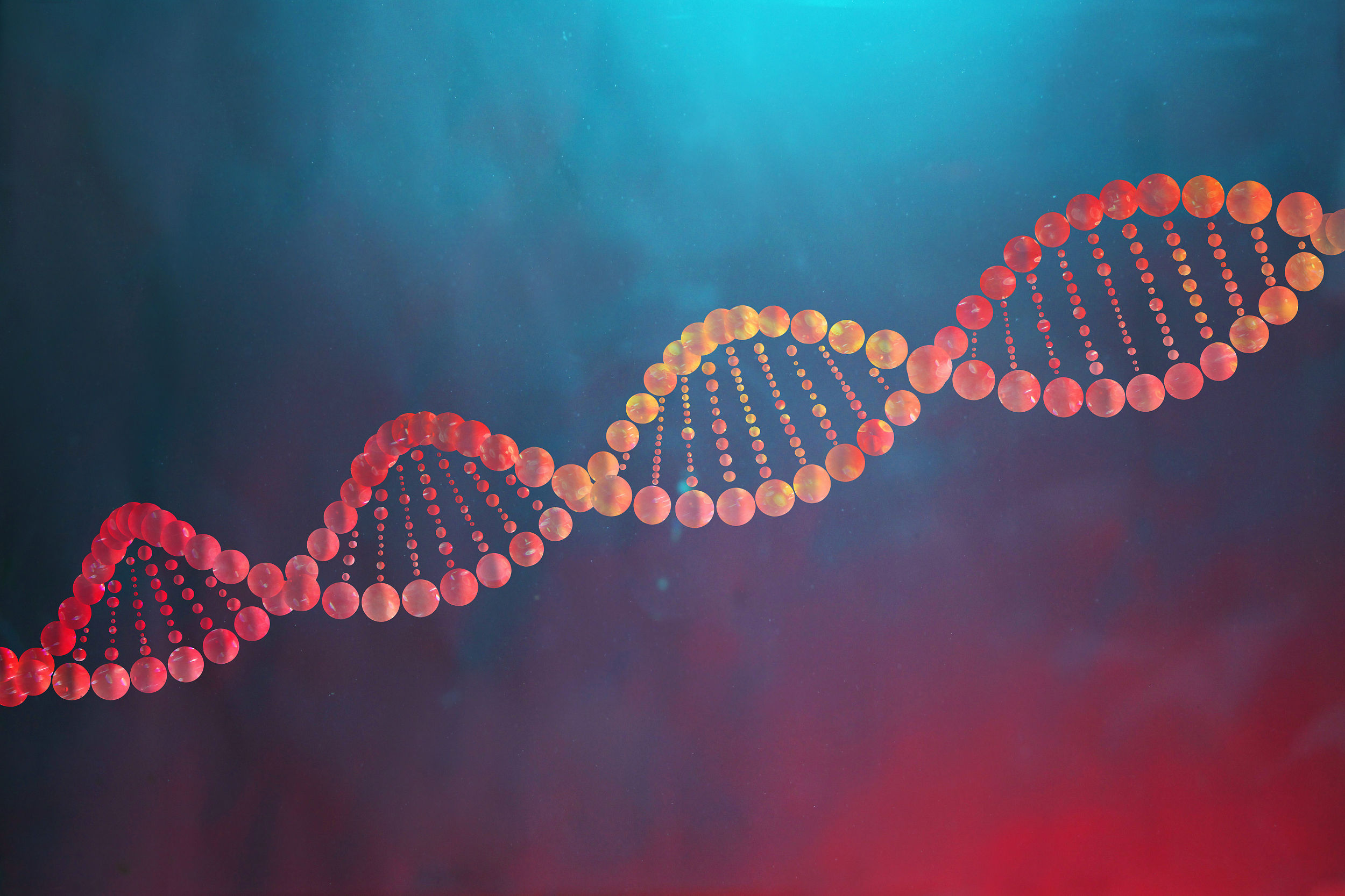 易方达中证万得生物科技指数（LOF）季报解读：份额申购大增收益波动显著(图1)