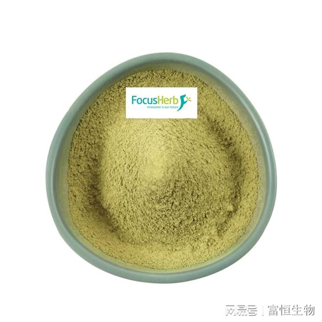 紫雏菊提取物抗感染保护富恒生物(图2)
