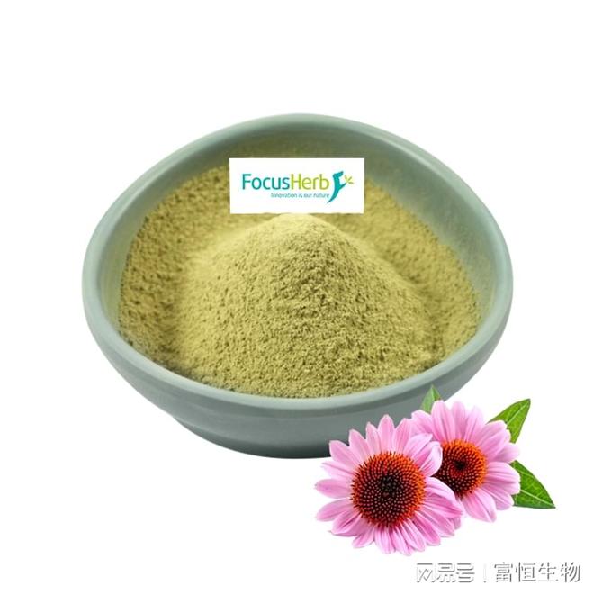 紫雏菊提取物抗感染保护富恒生物(图1)