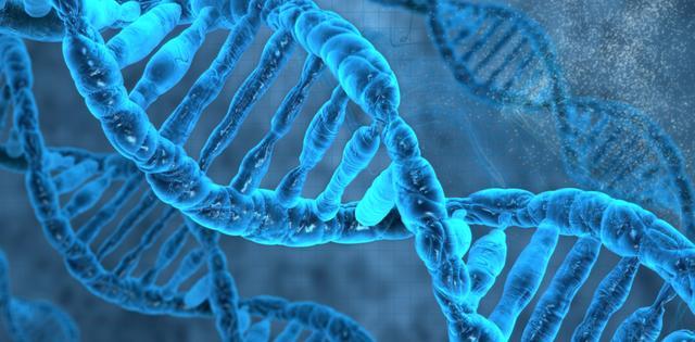 DNA存储器突破了理论极限一部手机装下全世界的数据(图4)
