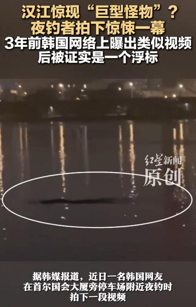 韩国汉江水下惊现巨型不明生物长达10米夜钓博主被吓跑！(图2)