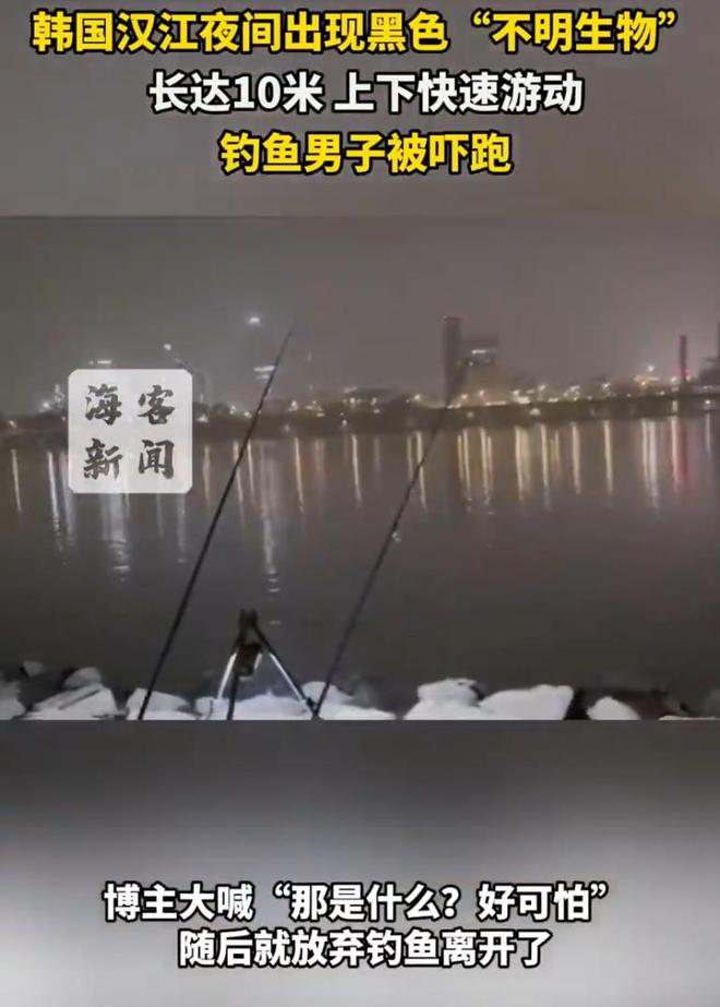 韩国汉江水下惊现巨型不明生物长达10米夜钓博主被吓跑！(图3)