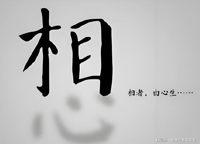 用生物信息能量场揭开“相由心生”的终极玄机(图1)
