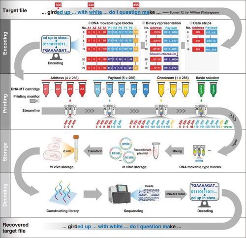 全国首个DNA存储领域预训练大模型“ChatDNA”发布(图1)