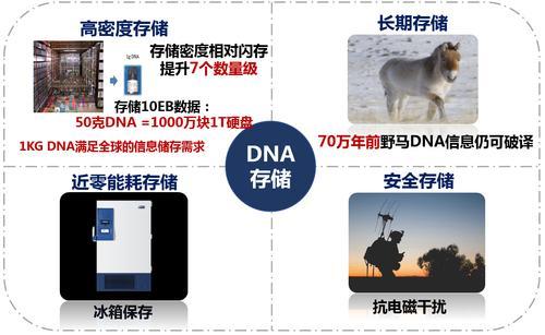 大开眼界！重庆诞生“DNA活字打印机”(图3)