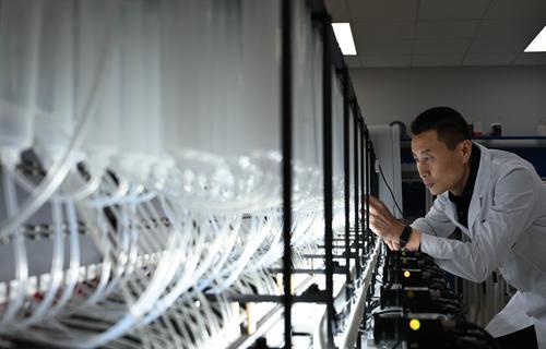 大开眼界！重庆诞生“DNA活字打印机”(图7)