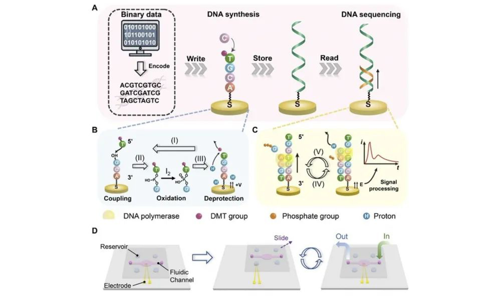 【年度回顾】图解上海科普大讲坛全年高光时刻（文末有彩蛋）(图1)