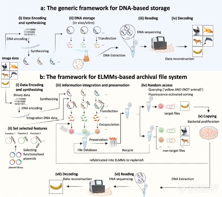 国产化存储：专业服务与权威方案的选择(图1)