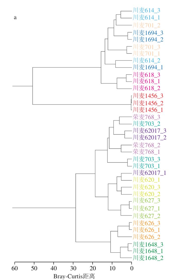 《食品科学》：四川省农业科学院蒲宗君研究员等：小麦品种对浓香型大曲品质、微生物群落及代谢产物的影响(图10)