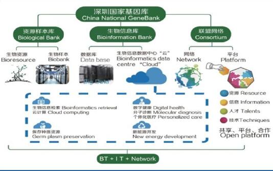 红熊AI获8000万元Pre-A+轮融资聚焦记忆科学旨在赋予人工智能接近人类的记忆能力(图1)