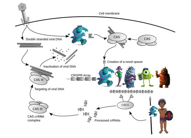 直播预告(26)书记院长讲专业——天津大学数学学院(图1)