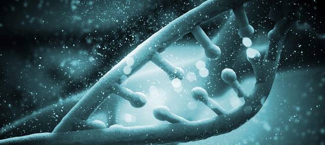 海尔生物涨453%成交额203亿元近5日主力净流入-213476万(图1)