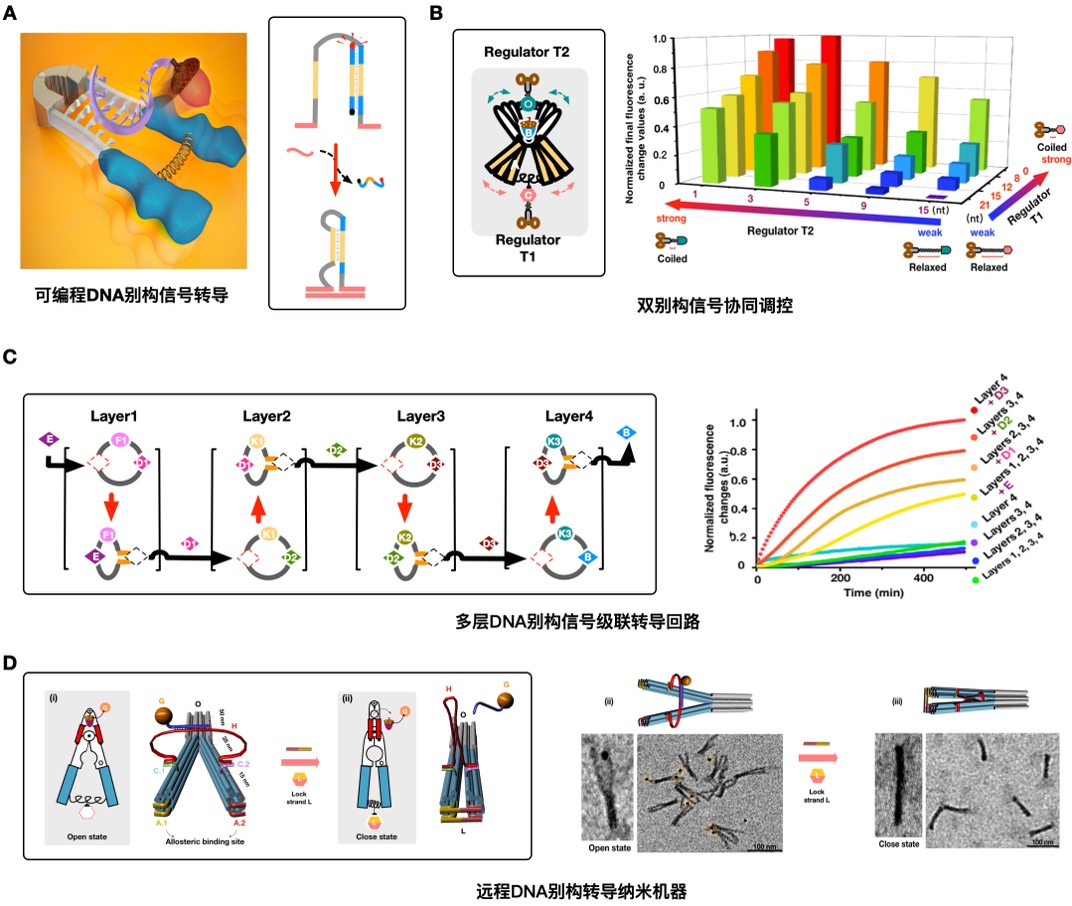 吉林上户口亲子鉴定机构权威榜单：民鉴基因科技实力领跑(图1)