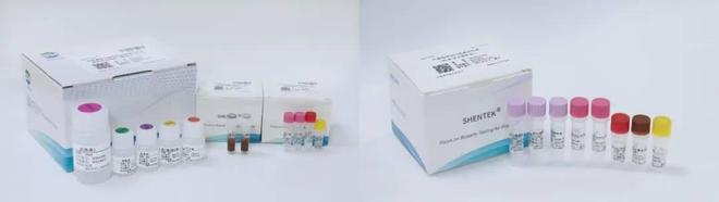 建立动物源生物材料残留DNA检测质控体系降低免疫原性风险(图1)