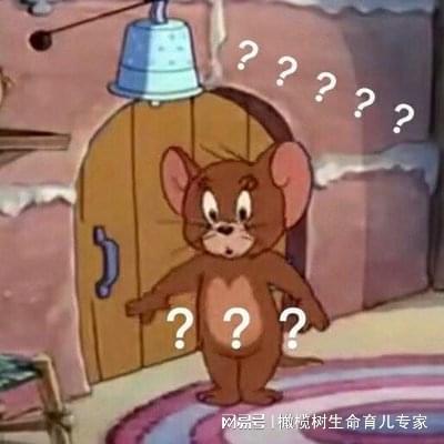 产检新选择：无创DNA和Plus版到底查了啥？(图2)