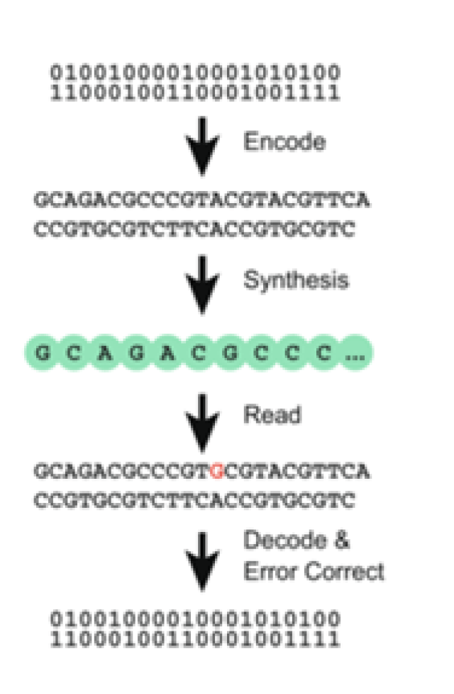 趵眼济南重塑城市的“绿色DNA”(图1)