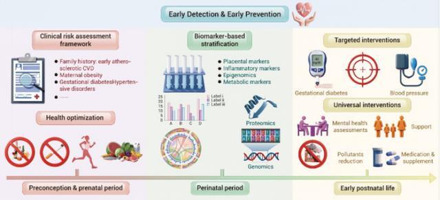 心血管风险或始于子宫孕期不良暴露留下胎儿期烙印(图1)