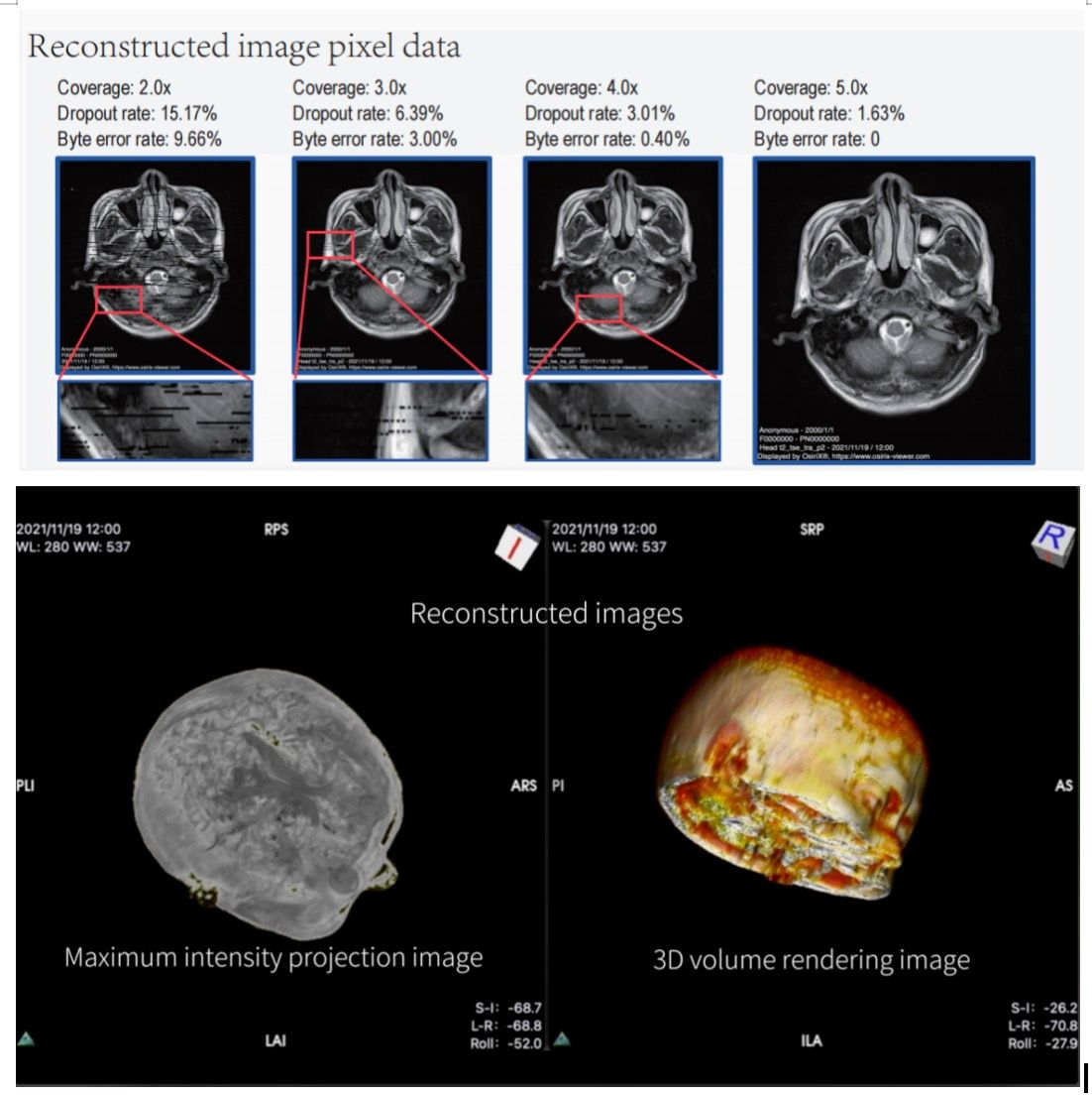 天大DNA存储研究又取得新进展DNA信息存储编解码新方案实现影像数据的三维重建(图1)