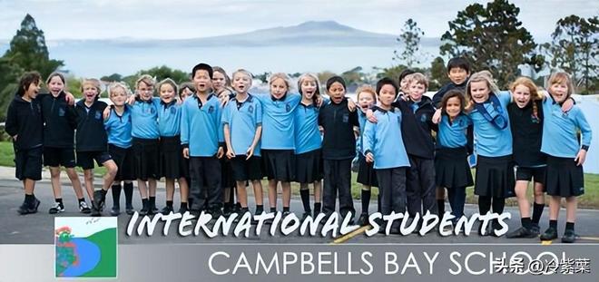 新西兰老太曝OT部门黑幕2孙被打死4名中国儿童遭强制提取DNA(图16)