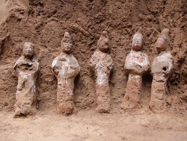 西安前锋村发掘北魏杨氏家族墓地有新发现DNA技术首揭家族血缘与姻亲网络(图4)