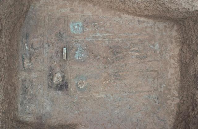 西安前锋村发掘北魏杨氏家族墓地有新发现DNA技术首揭家族血缘与姻亲网络(图6)