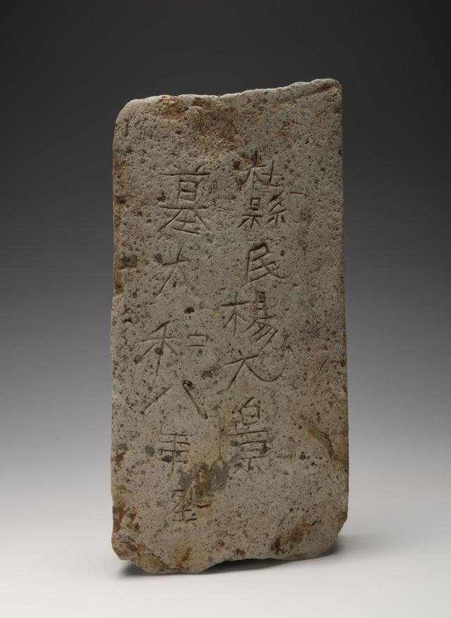 西安前锋村发掘北魏杨氏家族墓地有新发现DNA技术首揭家族血缘与姻亲网络(图8)