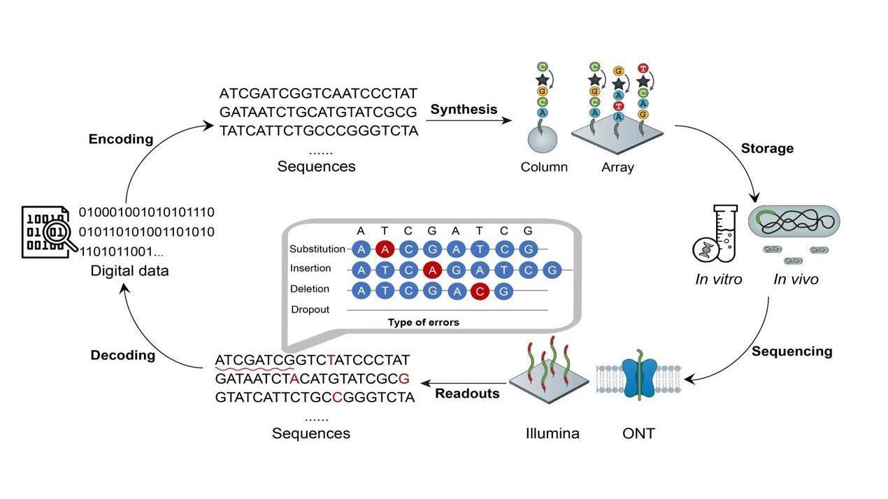 ESSHOW深圳电子展｜未来数据终极守护者：DNA存储技术(图1)