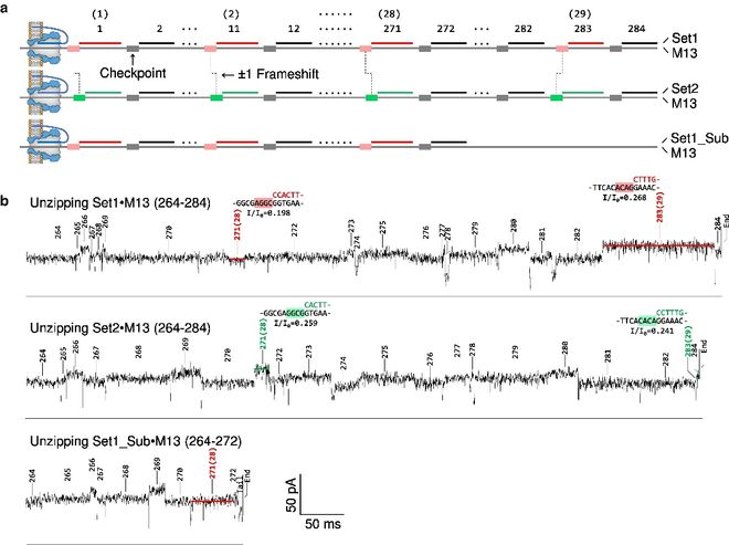 DNA存储重大突破：科学家首创无酶可重写DNA硬盘(图4)