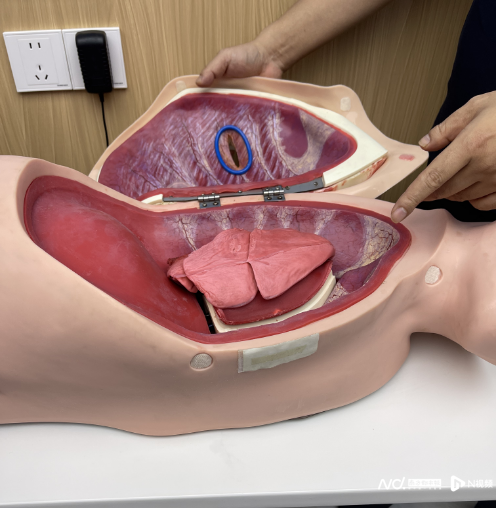 重构空间新版图！广州剑指四千亿生物医药产业集群(图5)