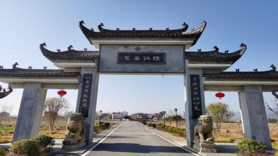 记新安医派传人张必清教授的中医人生与大爱情怀(图1)