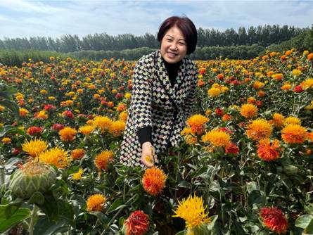 破解中药材产业痛点这份一等奖给出全链解决方案(图1)