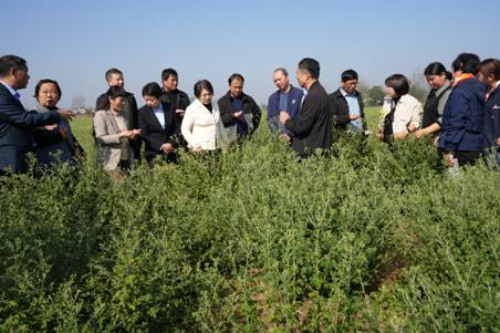 破解中药材产业痛点这份一等奖给出全链解决方案(图3)