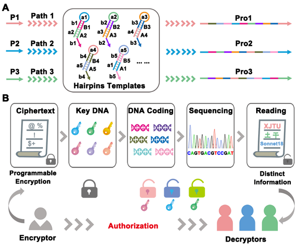 百亿低温存储龙头遭遇净利“四连降”(图1)