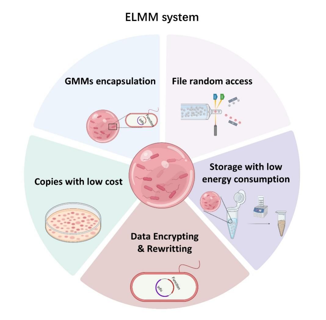 OpenClaw爆火：AIAgent普及浪潮下企业智能化转型的机遇与挑战(图1)