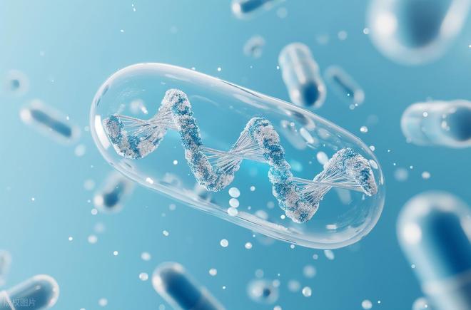 线粒体DNA只能通过母系传递生女儿算传宗接代生儿子算啥呢？(图2)