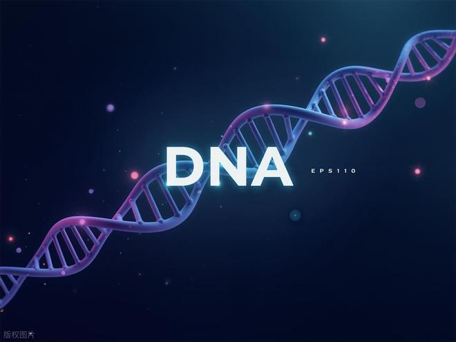 线粒体DNA只能通过母系传递生女儿算传宗接代生儿子算啥呢？(图5)