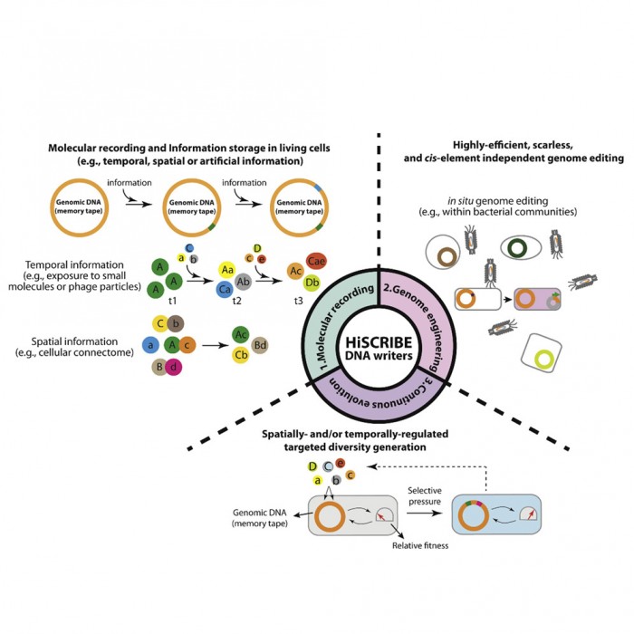 2025-2026年全球WMS系统推荐：十大仓储管理系统口碑评测对比顶尖(图1)