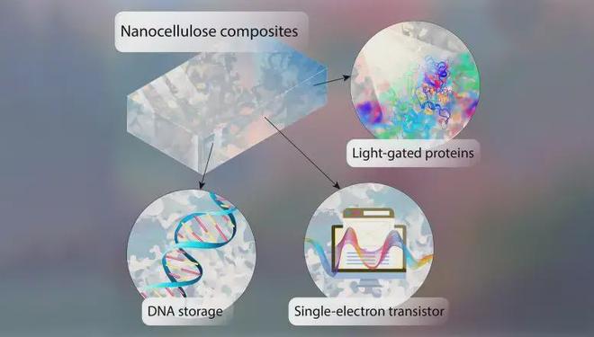 DNA芯片：帮助解决数据存储难题的创新生物技术(图2)