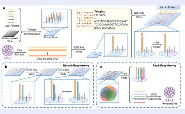 科技创新行业现状与发展趋势分析(2026年)(图1)