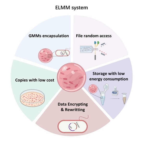 日本人破防了：DNA检测日本祖先被证实人不是徐福后代(图1)