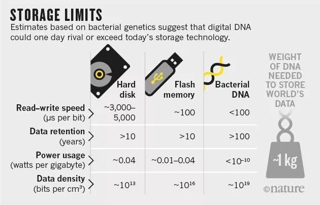 《Science》研究发现不依赖模板的DNA合成新机制(图1)