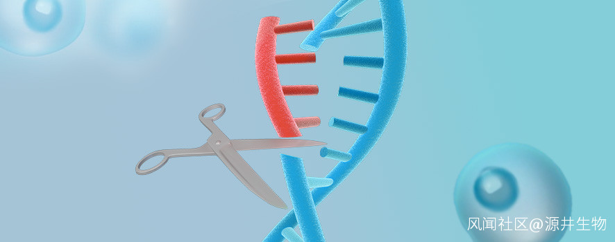vivo为何能守住擂台？一场向自己动刀的手术正在悄然进行！(图1)