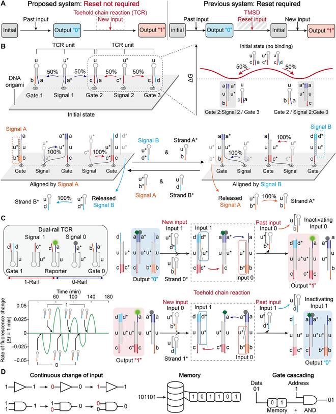 突破2纳米极限：DNA生物晶体管实现分子级计算与存储双重功能(图1)