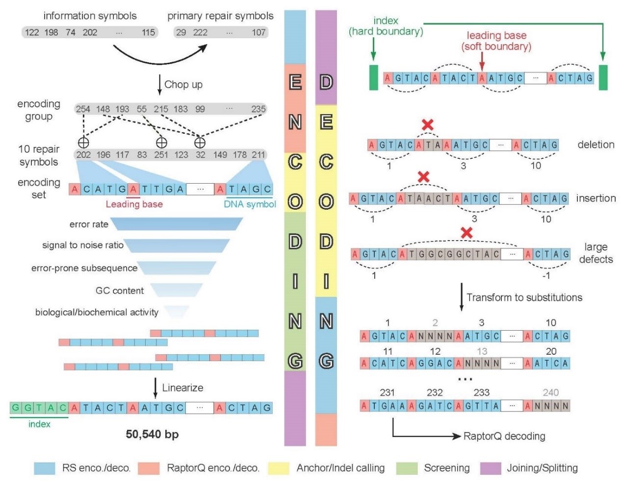 量子计算的基因时刻”：牛津团队用117个量子比特撬动了万亿生物科技赛道(图1)