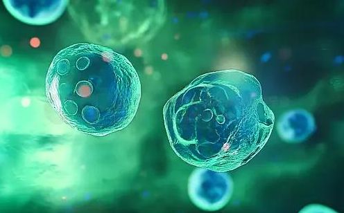 澳洲留学三大核心专业：人工智能、新能源、生物技术(图2)